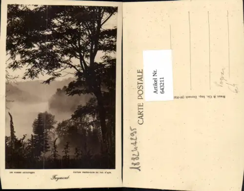 643211,Faymont Les Vosges Baum Landschaft France