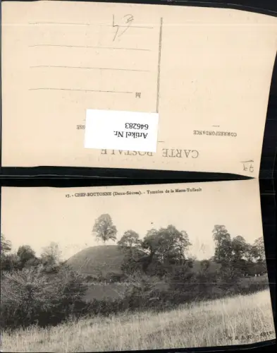 646283,Chef-Boutonne Deux-Sevres Tumulus de la Motte-Tuffault France