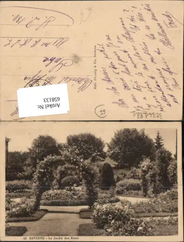 658133,Saverne Le Jardin des Roses Garten Rosen Blumen France