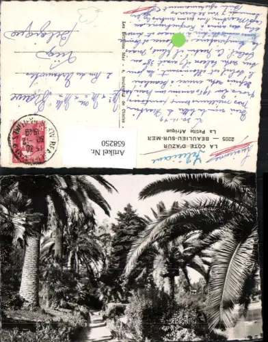 658250,La Cote d Azur Beaulieu-sur-Mer La Petite Afrique Palmen France