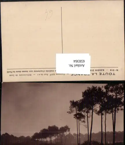 658364,Bassin d Arcachon Gironde Douce matinee d automne aux dunes dans la Foret France