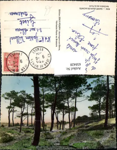 658428,Saint-Jean-de-Monts La Lisiere de la Foret Bäume Wald France