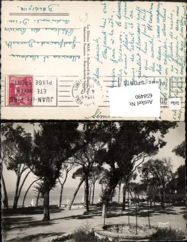 658490,La Cote d Azur Juan-les-Pins La Pinede Pinien Bäume France