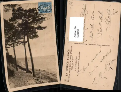 658840,Le Moulleau La Plage vue du Parc des Abatilles Strand France