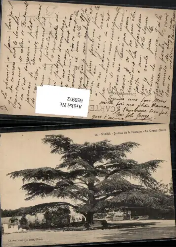 659972,Nimes Jardins de la Fontaine Le Grand Cedre Baum France