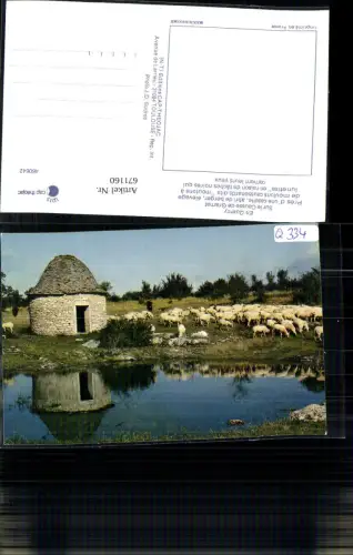 671160,En Quercy Sur le Causse de Gramat Schafhirte Schäfer Schafe France