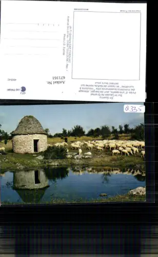 671161,En Quercy Sur le Causse de Gramat Schafhirte Schäfer Schafe France