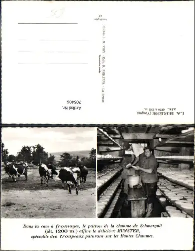 705406 France Mehrbild AK La Bresse Vosges Rinder Käseerzeugung Käserei Munster