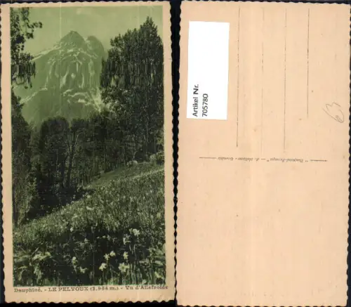 705780 France Dauphine Le Pelvoux Vu d Ailefroide Blumenwiese Blumen