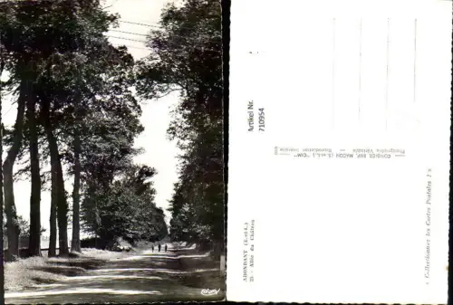 710954 France Foto AK Abondant Allee du Chateau