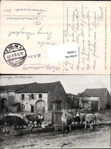 714698 Elfringen Dorfbrunnen Avricourt Moselle Grand Est Kühe Feldpost Pirmasens