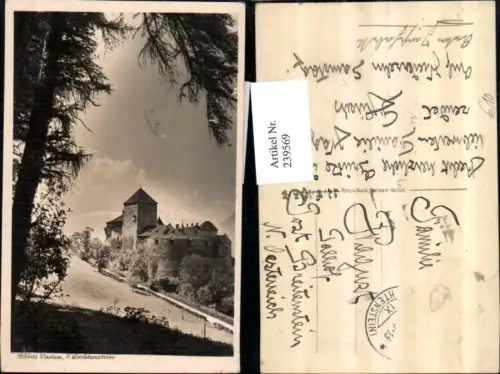 239569,Fürstentum Liechtenstein Schloss Vaduz