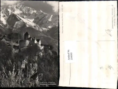 239595,Fürstentum Liechtenstein Schloss Vaduz