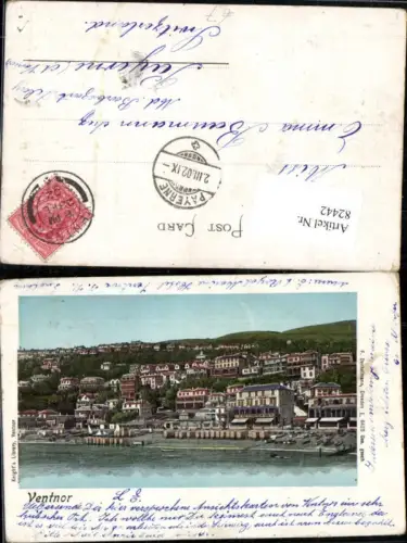 82442,Ventnor Totale