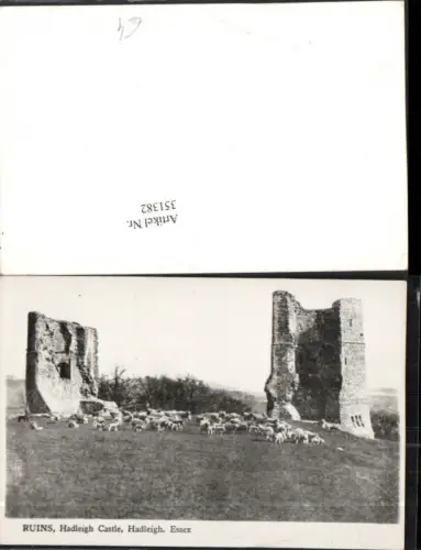 351382,Essex Hadleigh Castel Ruins Schlossruine Schafherde
