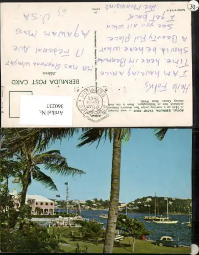 360237,Bermuda Walsingham Royal Bermuda Yacht Cllub Palmen