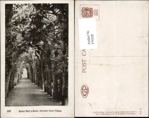 379320,England Surrey Hampton Court Palace Queen Marys Bower Allee Bäume