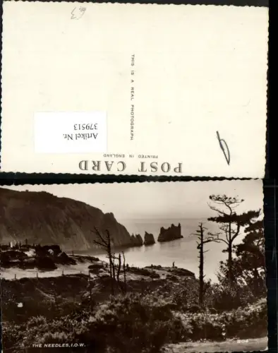 379513,England Isle of Wight The Needles Steilküste Klippe Felsen