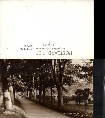 387951,Great Britain England Dorchester West Walks Straße Allee