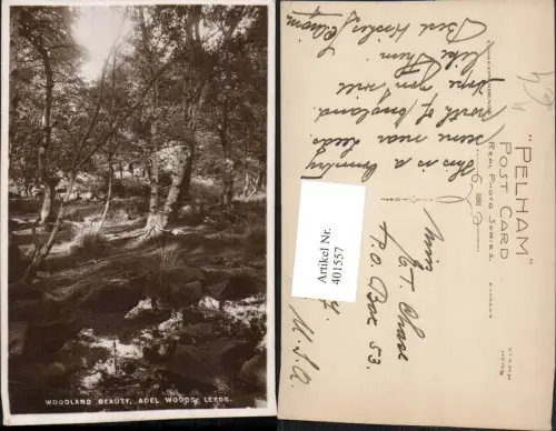 401557,England Leeds Adel Woods Woodland Beauty Bäume