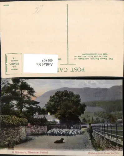 401895,England Grasmere Silverhow Behind Schafe Herde Hund