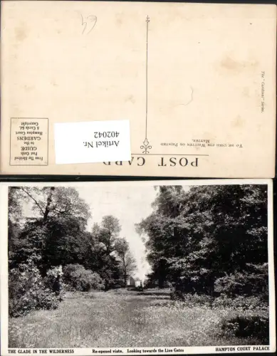 402042,England London Hampton Court Palace Glade in the Wilderness