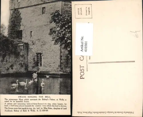 410301,England Wells Bishops Palace Swans ringing the Bell Schwäne