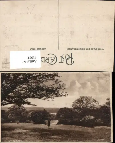 410531,England Epping Forest Landschaft