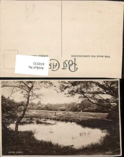 410533,England Epping Forest Landschaft Teich