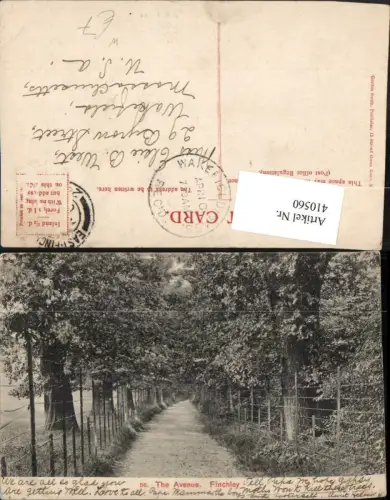 410560,England Finchley Avenue Straße Wald