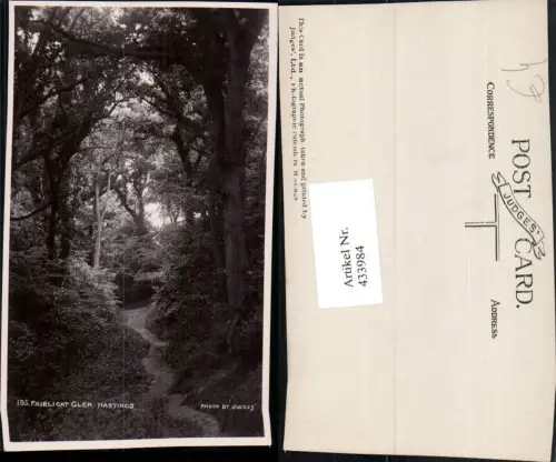 433984,England Hastings Fairlight Glen Wald Wegpartie