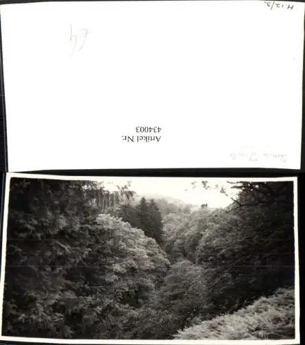434003,Fotokarte England Aira Dale Wald