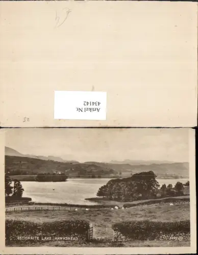 434142,England Hawkshead Esthwaite Lake See Partie