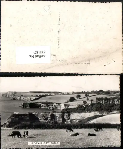 434187,England Ladram Bay Landschaft Küste Klippe
