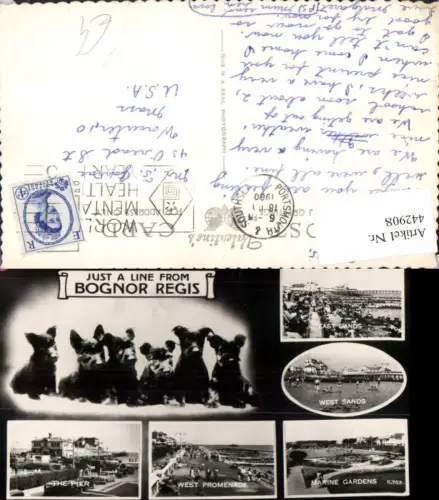 442908,England Bognor Regis Hunde Marine Gardens Strand Pier Mehrbildkarte
