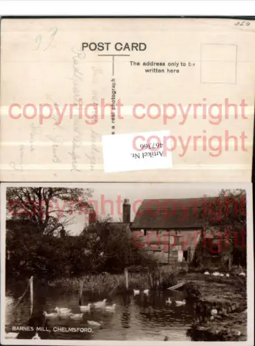467366,England Chelmsford Barnes Mill Mühle Teich Enten