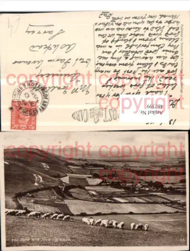 467399,England Dyke Hills looking West Landschaft Schafe Herde