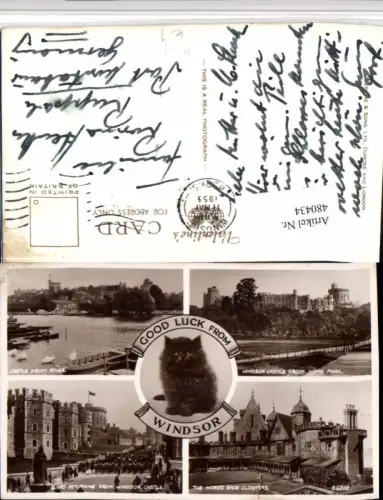 480434,England Windsor Castle Guard Horse shoe Cloisters Katze Mehrbildkarte