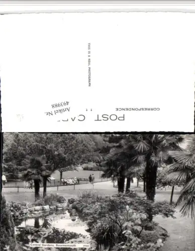 493988,England Bournemouth Central Gardens Garten Palmen