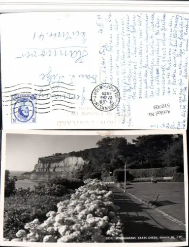 510709,England Isle of Wight Shanklin Keats Green Hydrangeas Küste