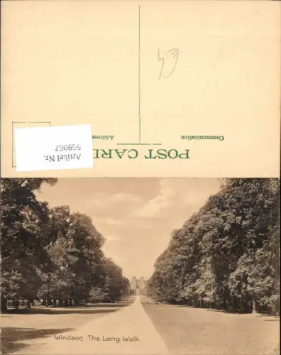 559067,England Windsor The Long Walk Park