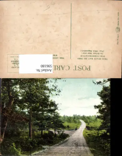 596180,Road through the New Forest United Kingdom