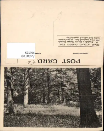 596255,London Royal Botanic Gardens Kew United Kingdom