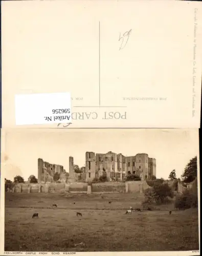 596256,Kenilworth Castle from Echo Meadow Ruine Rinder Kühe United Kingdom