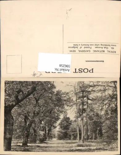 596258,Royal Botanic Gardens Kew London United Kingdom