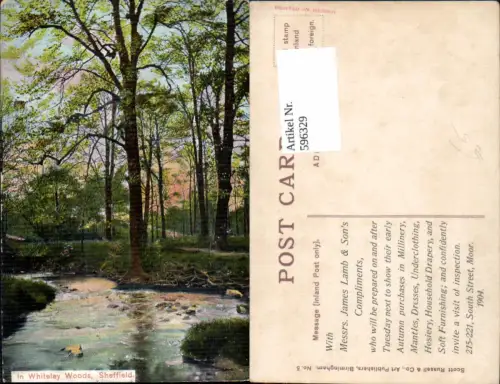 596329,In Whiteley Woods Sheffield United Kingdom