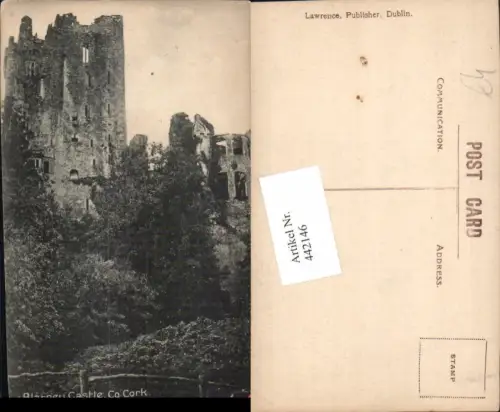 442146,Ireland County Cork Blarney Castle Burg