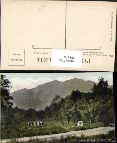 398416,Scotland Stirling Trossachs Pass Rinder Bergkulisse