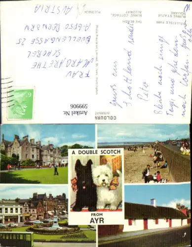599906,Mehrbild Ak Ayr A double Scotch Hund Terrier Great Britain