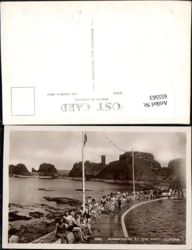 655563,Foto Ak Dunbar Sunbathers at the Pool